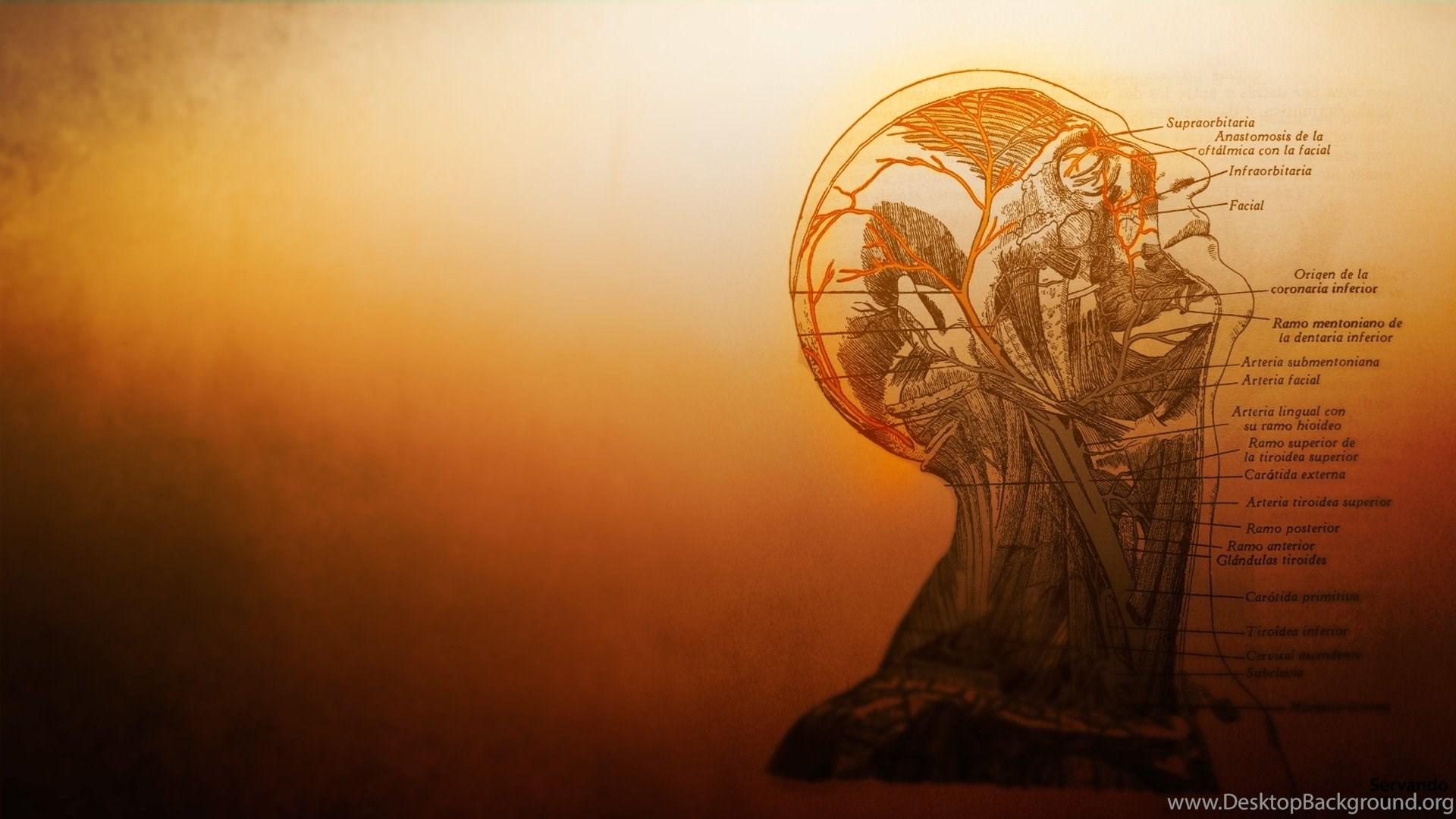 1920x1080 Medical Symbol Wallpaper Wallpaper