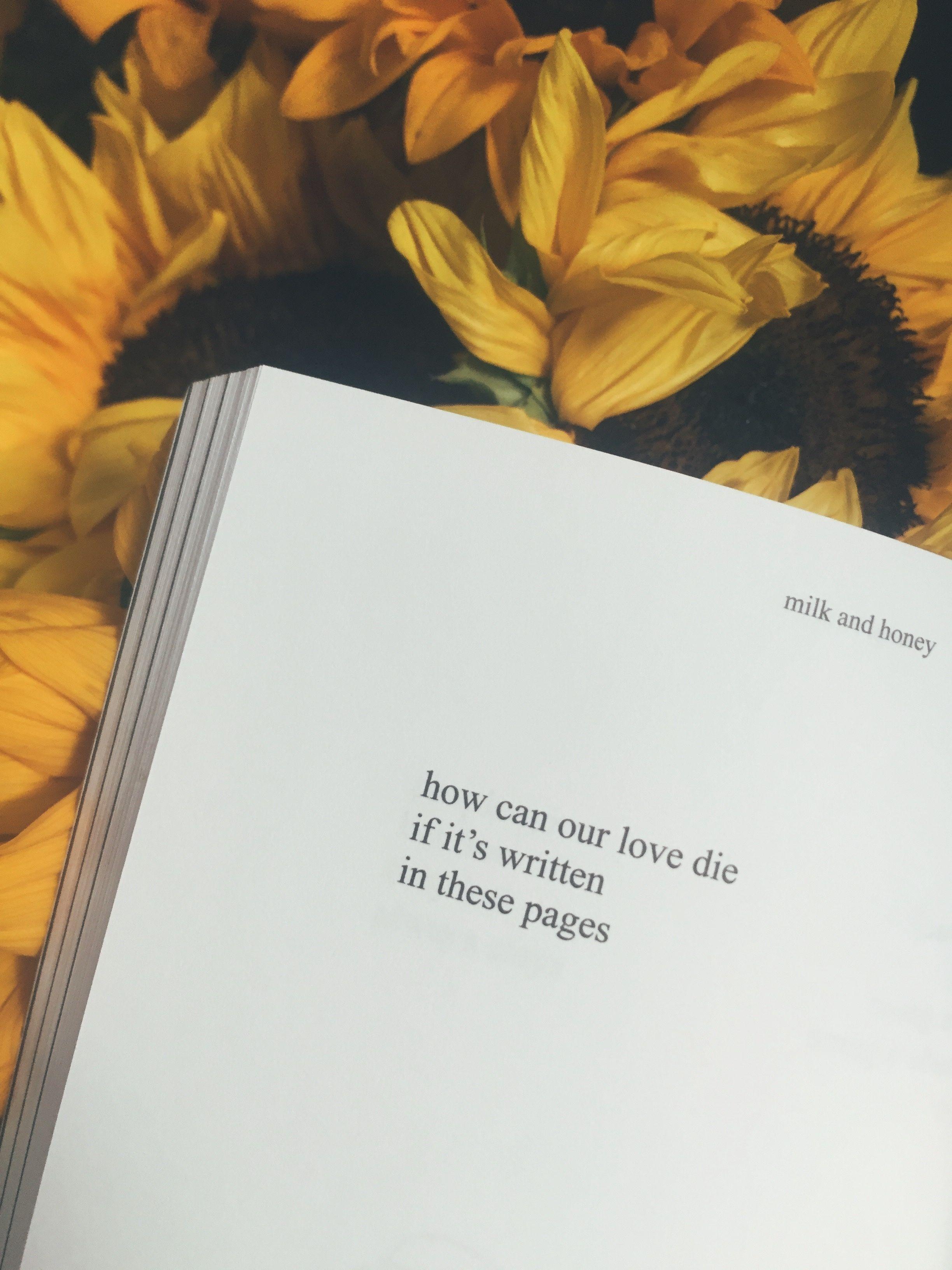 2448x3264 Sunflower Aesthetic Wallpaper