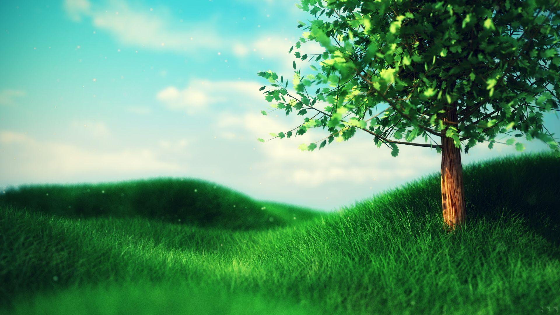 1920x1080 Grassy Field Wallpaper. Field wallpaper, Grassy field, Wallpaper