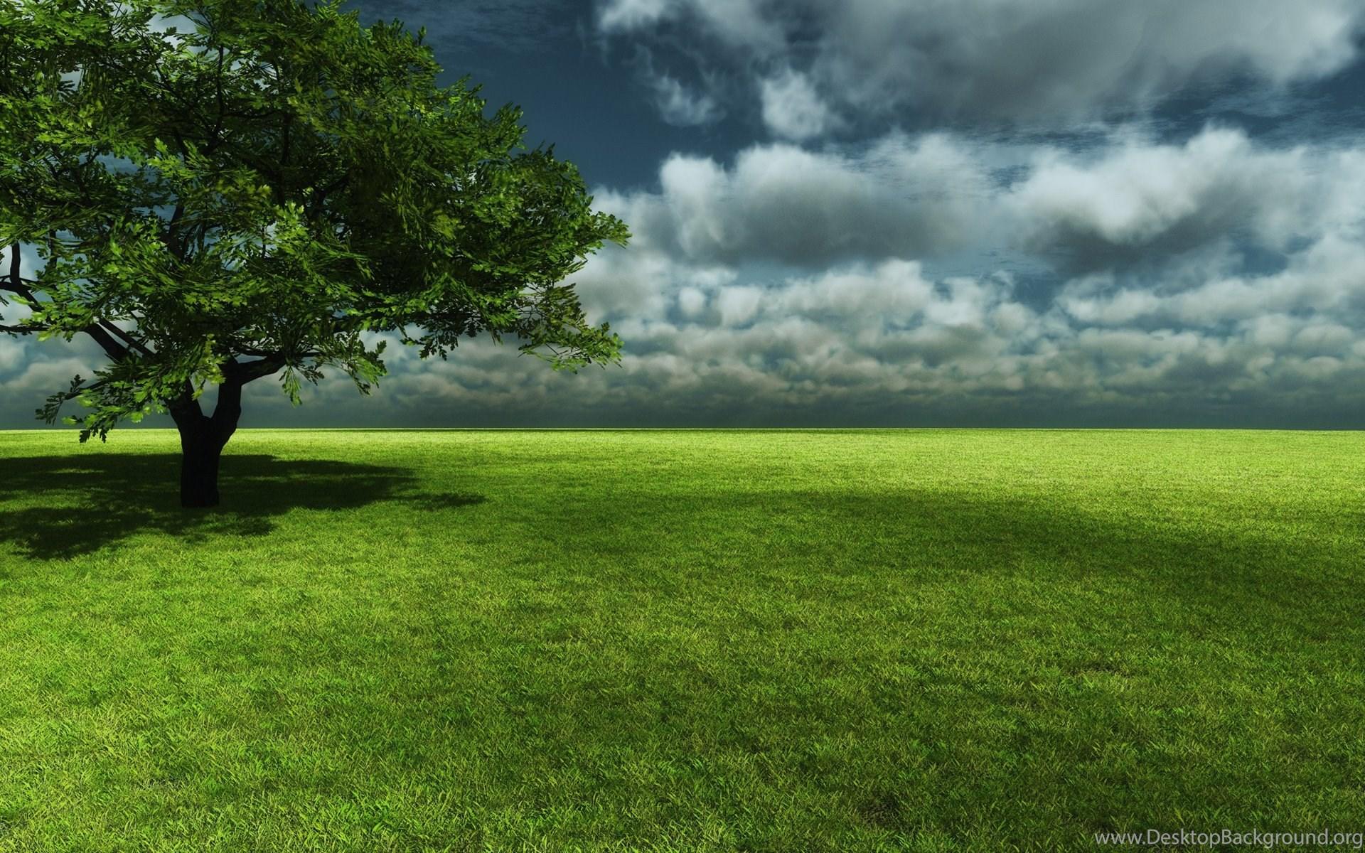 1920x1200 Green Grass Field Wallpaper. Desktop Background
