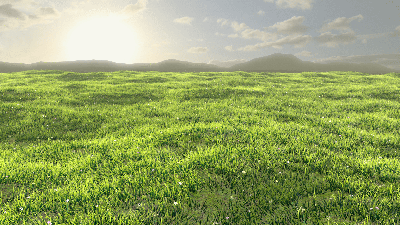 Field of Grass Wallpapers - Top Free Field of Grass Backgrounds ...