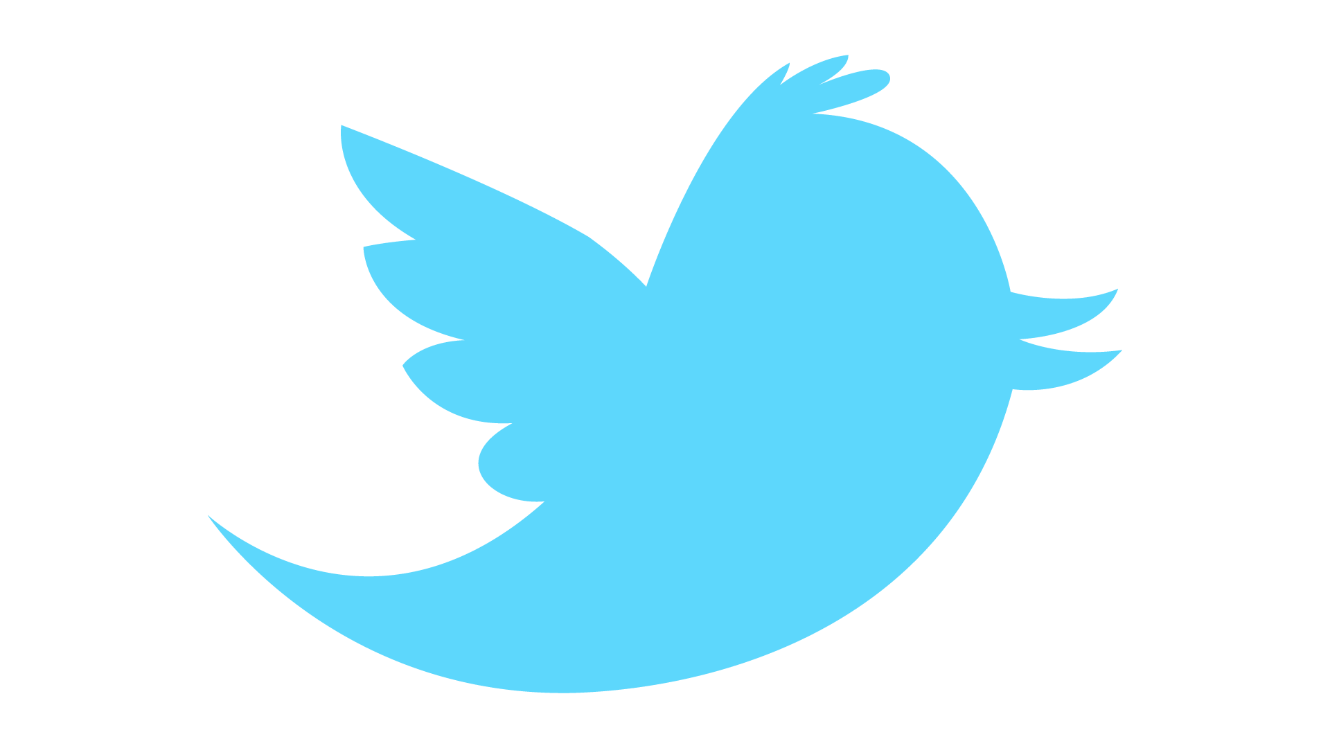 1920x1080 of Bird 4K wallpaper for your desktop or mobile screen