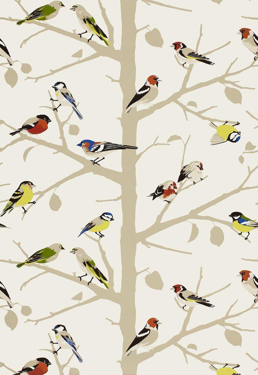 879x1280 Schumacher A Twitter Wallpaper Summer 5005031 (Priced And Sold As 9 Yard Double Roll). Bird Wallpaper Bedroom, Bird Wallpaper, Wallpaper Summer