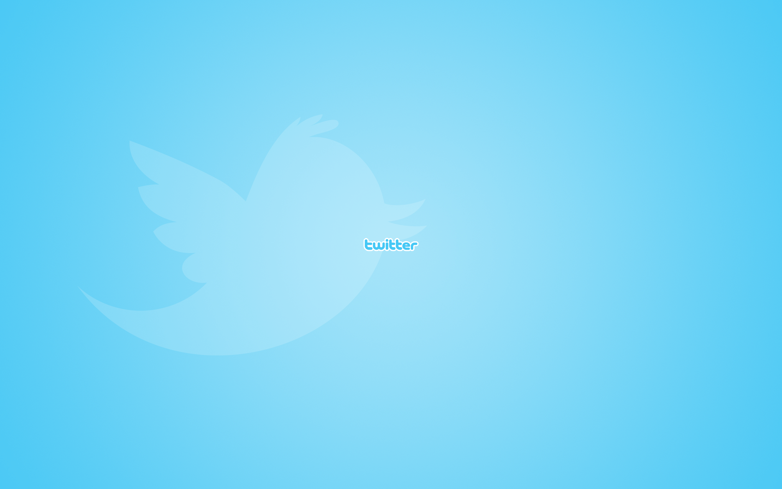 2560x1600 Twitter Wallpaper HD Wallpaper