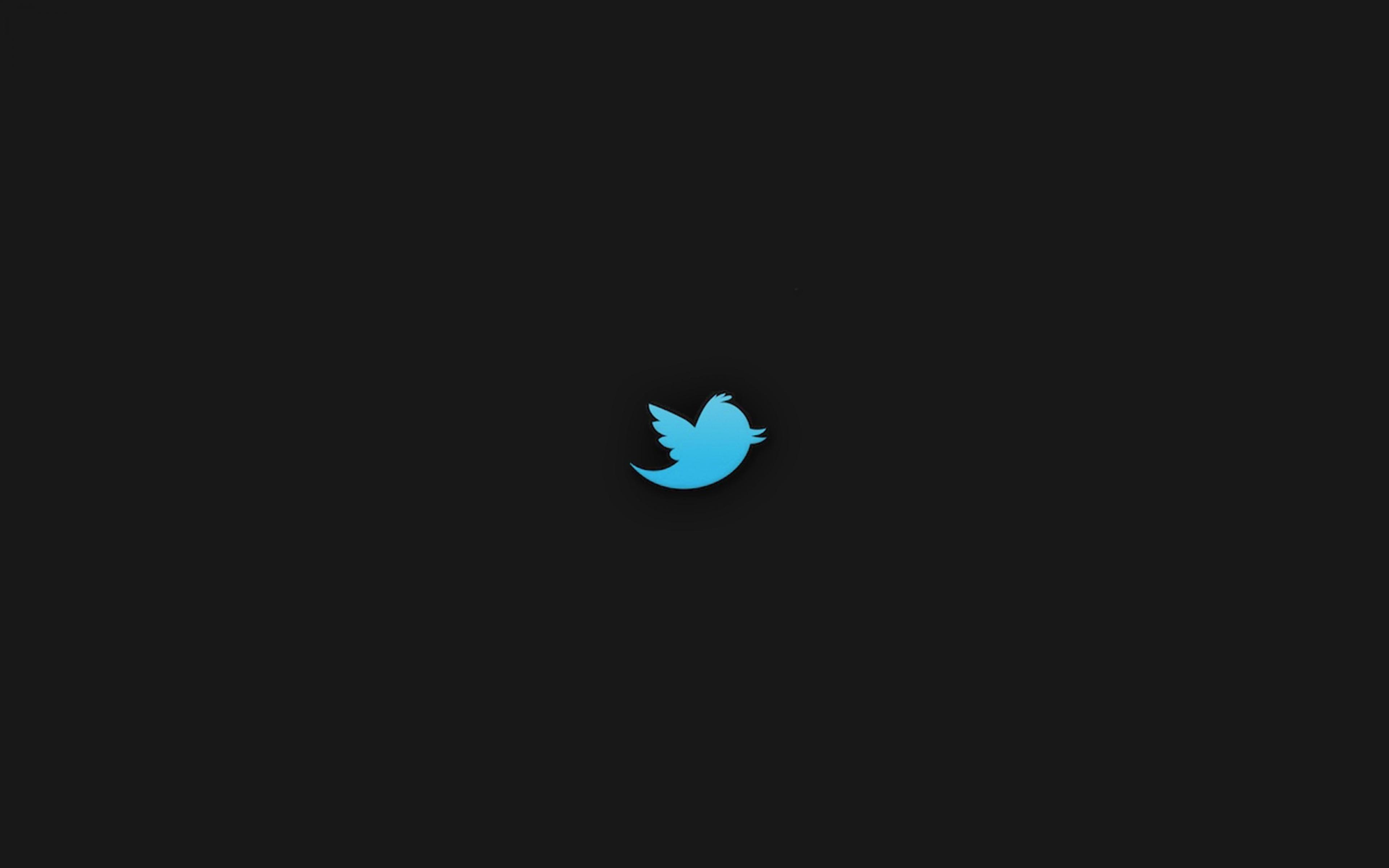 3840x2400 ScreenBeauty. twitter, bird, social network