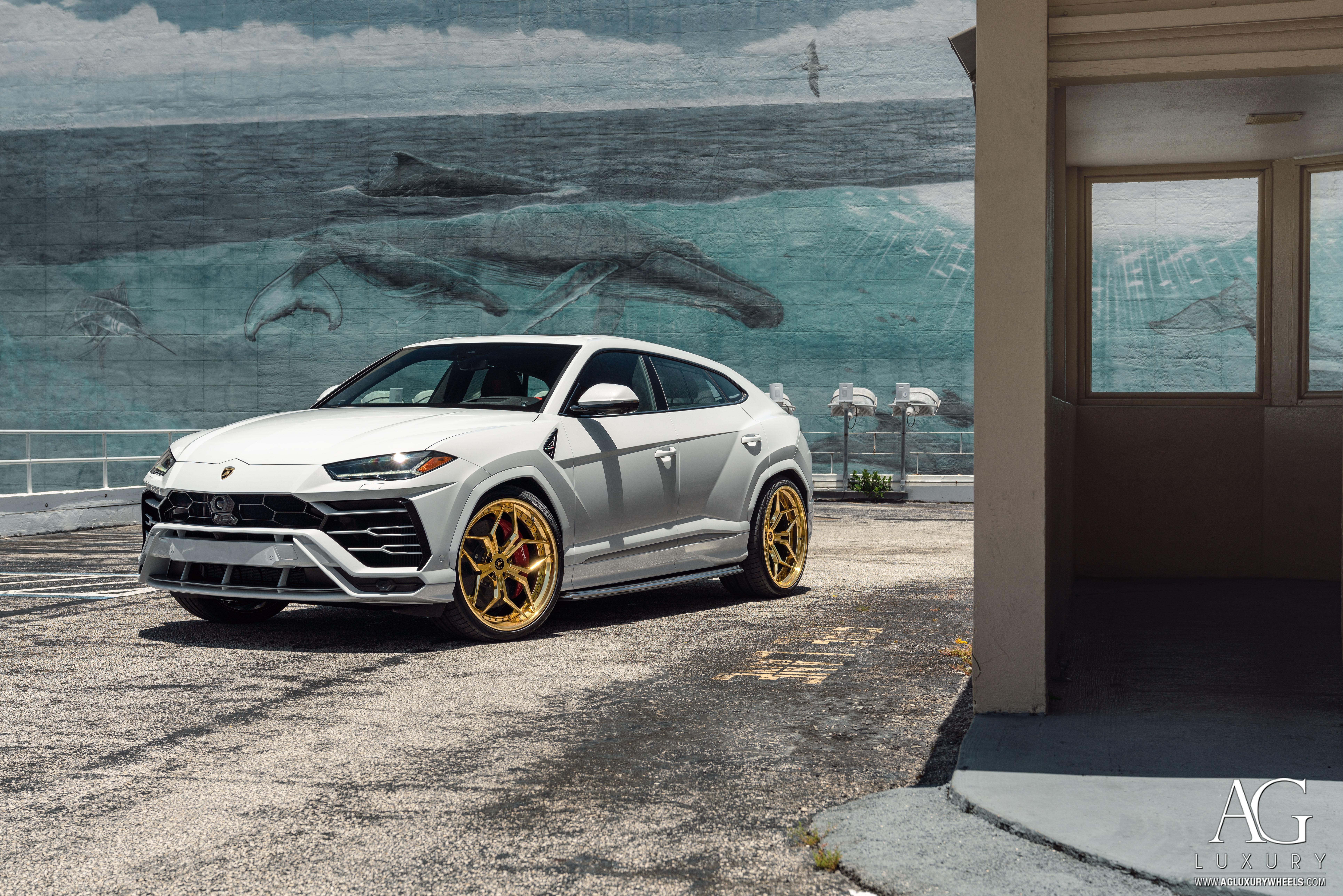 7717x5149 White Lamborghini Urus 8k, HD Cars, 4k Wallpaper, Image, Background, Photo and Picture
