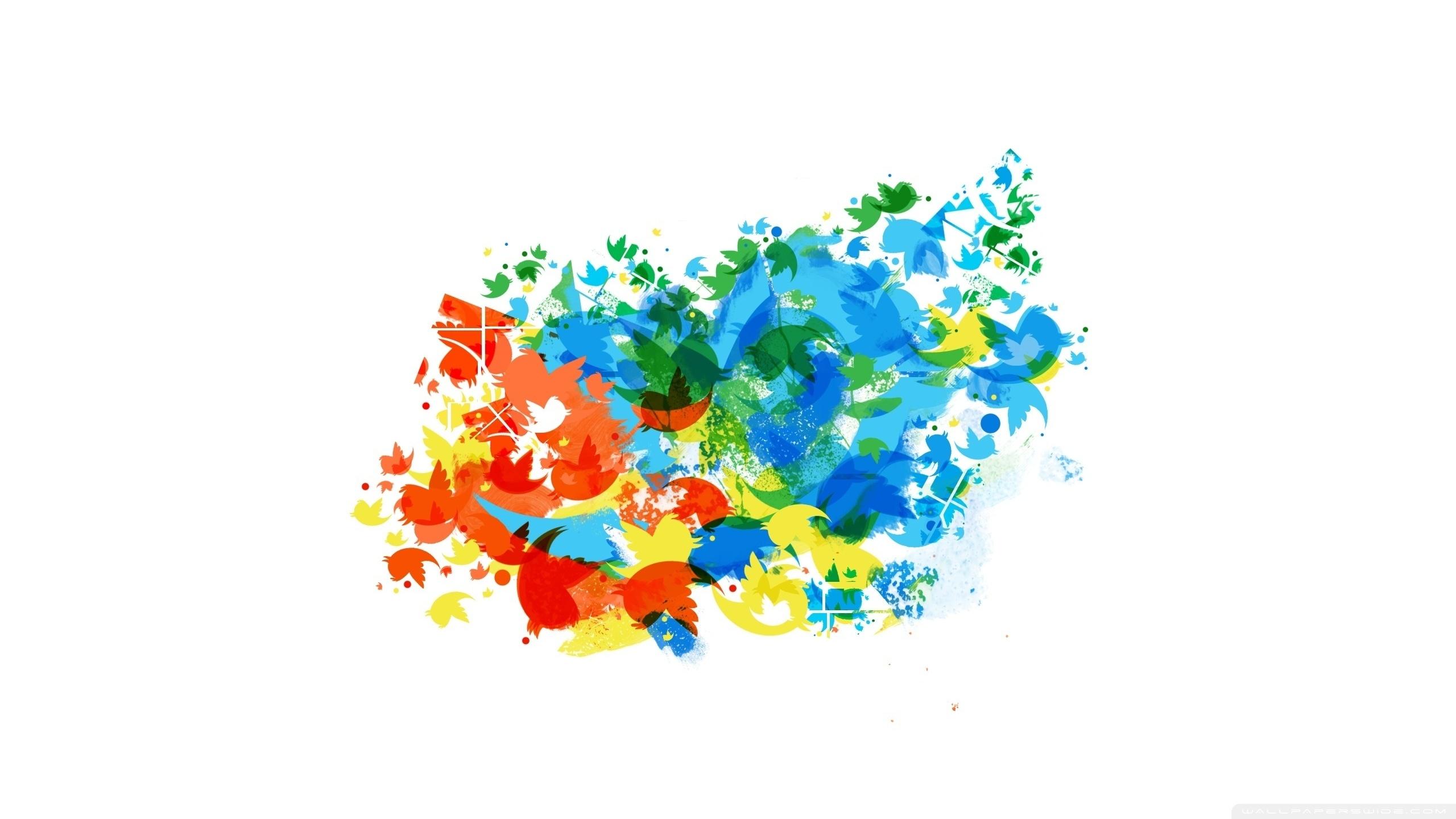 2560x1440 Twitter Colorful Birds Ultra HD Desktop Background Wallpaper for 4K UHD TV : Multi Display, Dual Monitor : Tablet