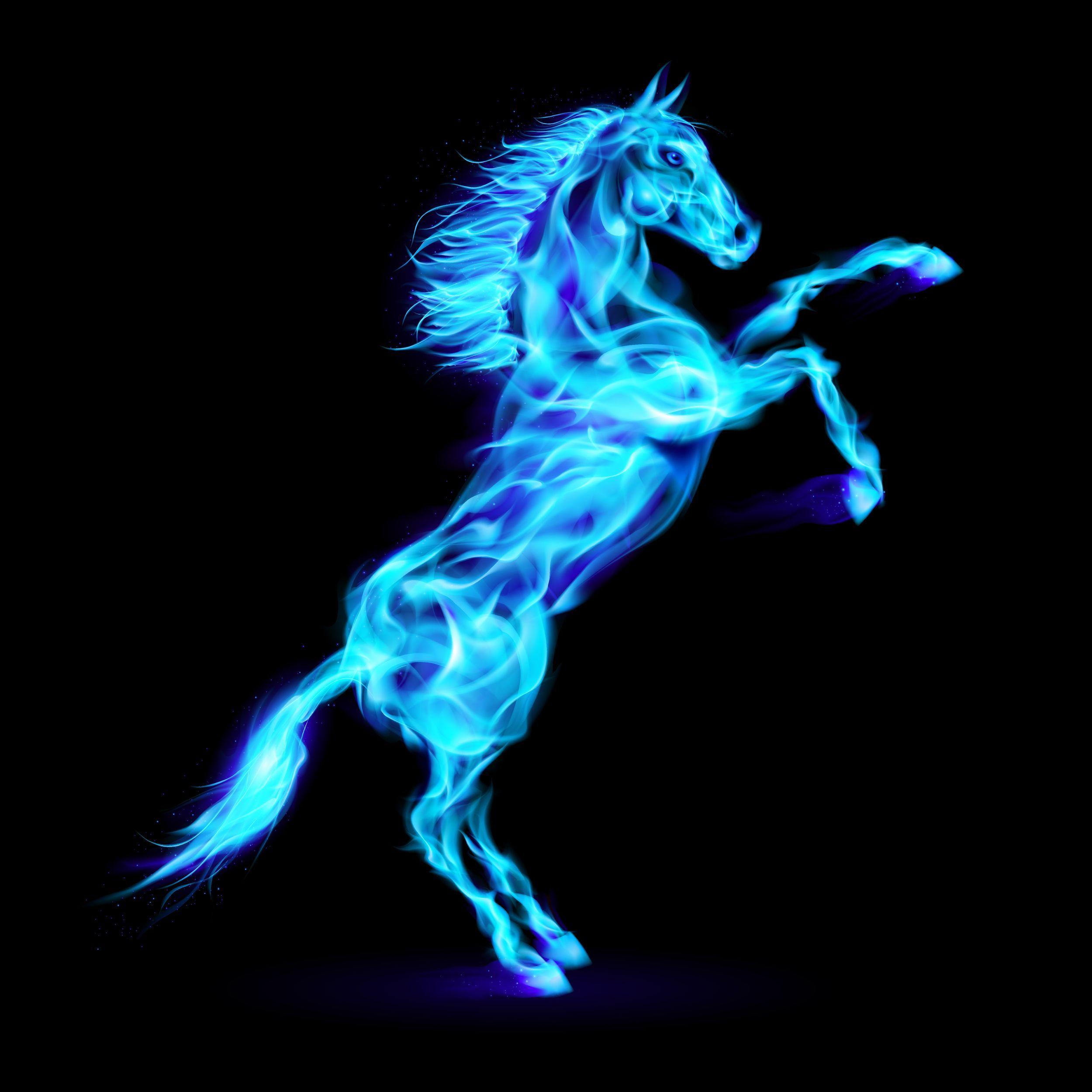 Flaming Horse Wallpapers Top Free Flaming Horse Backgrounds