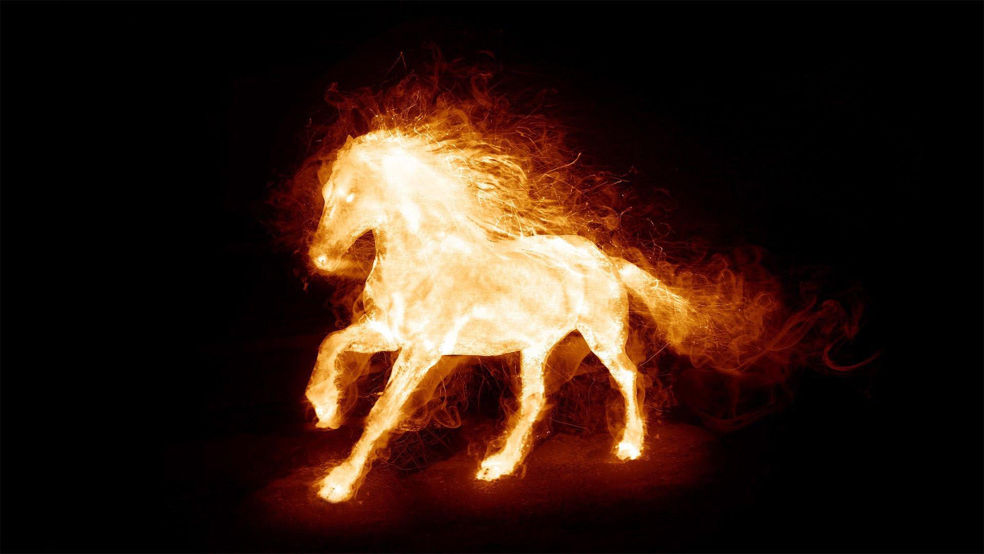 1920x1080 Fire Horse HD Wide Wallpaper For Widescreen Data Src Horse HD
