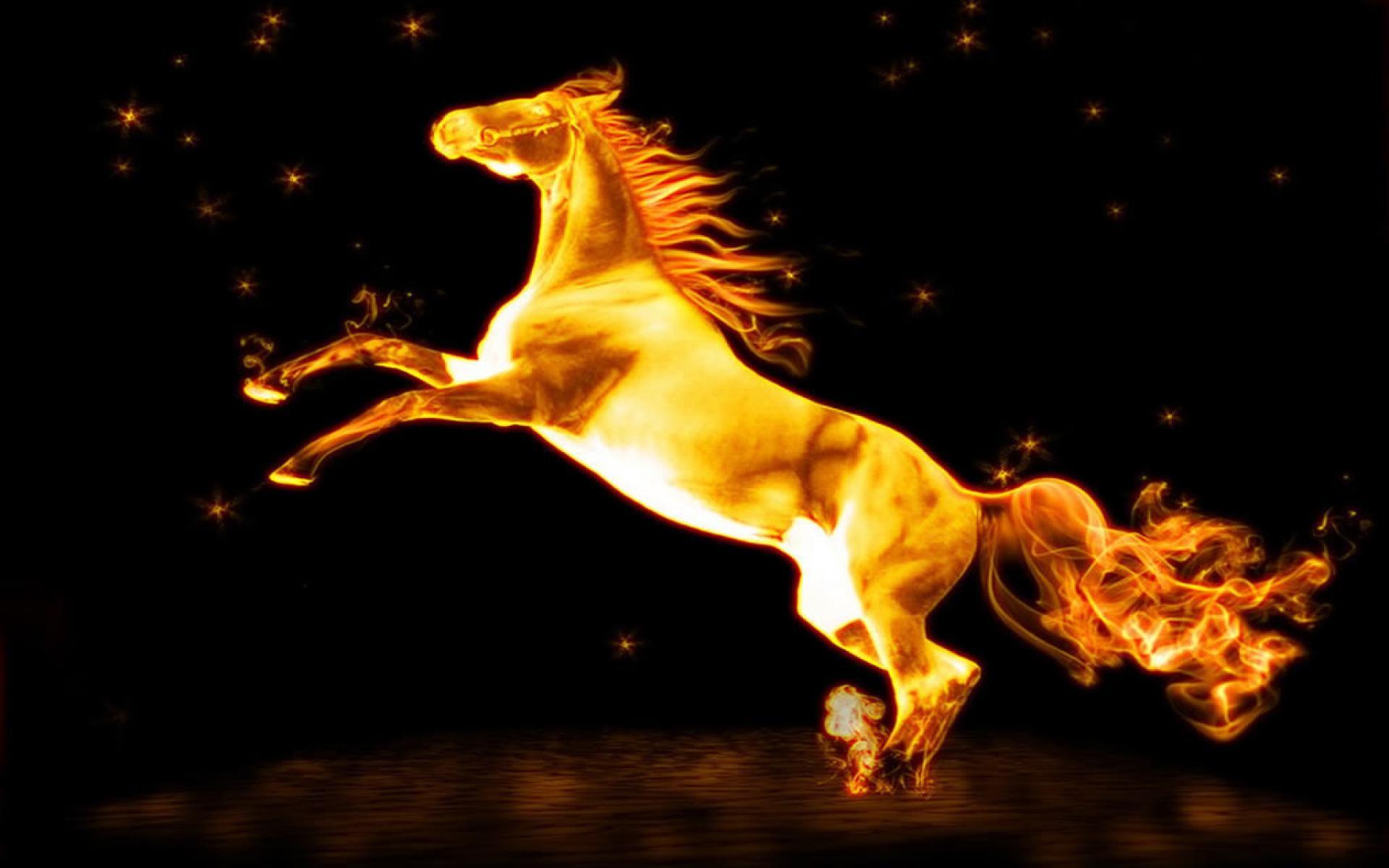 1920x1200 Fire Horse Wallpaper. Fire horse, Horse wallpaper, Fire art