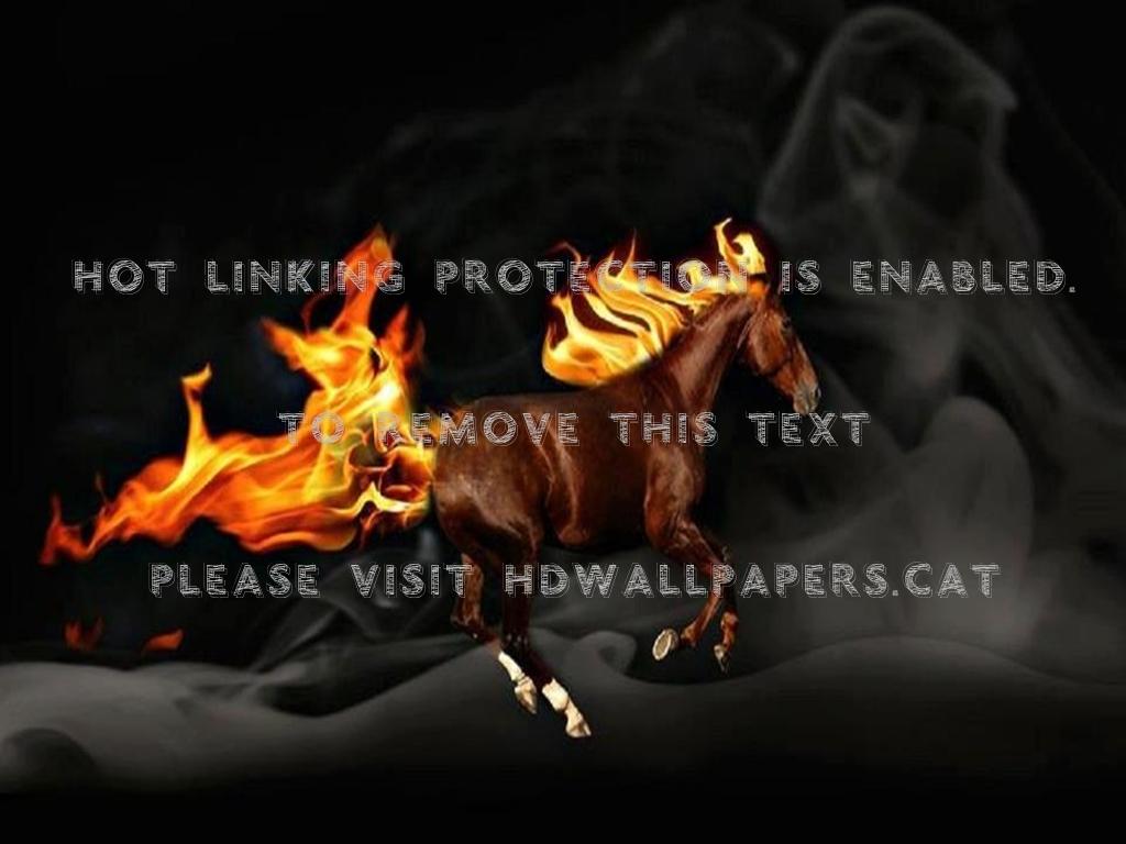 1024x768 flaming horse run black background fantasy