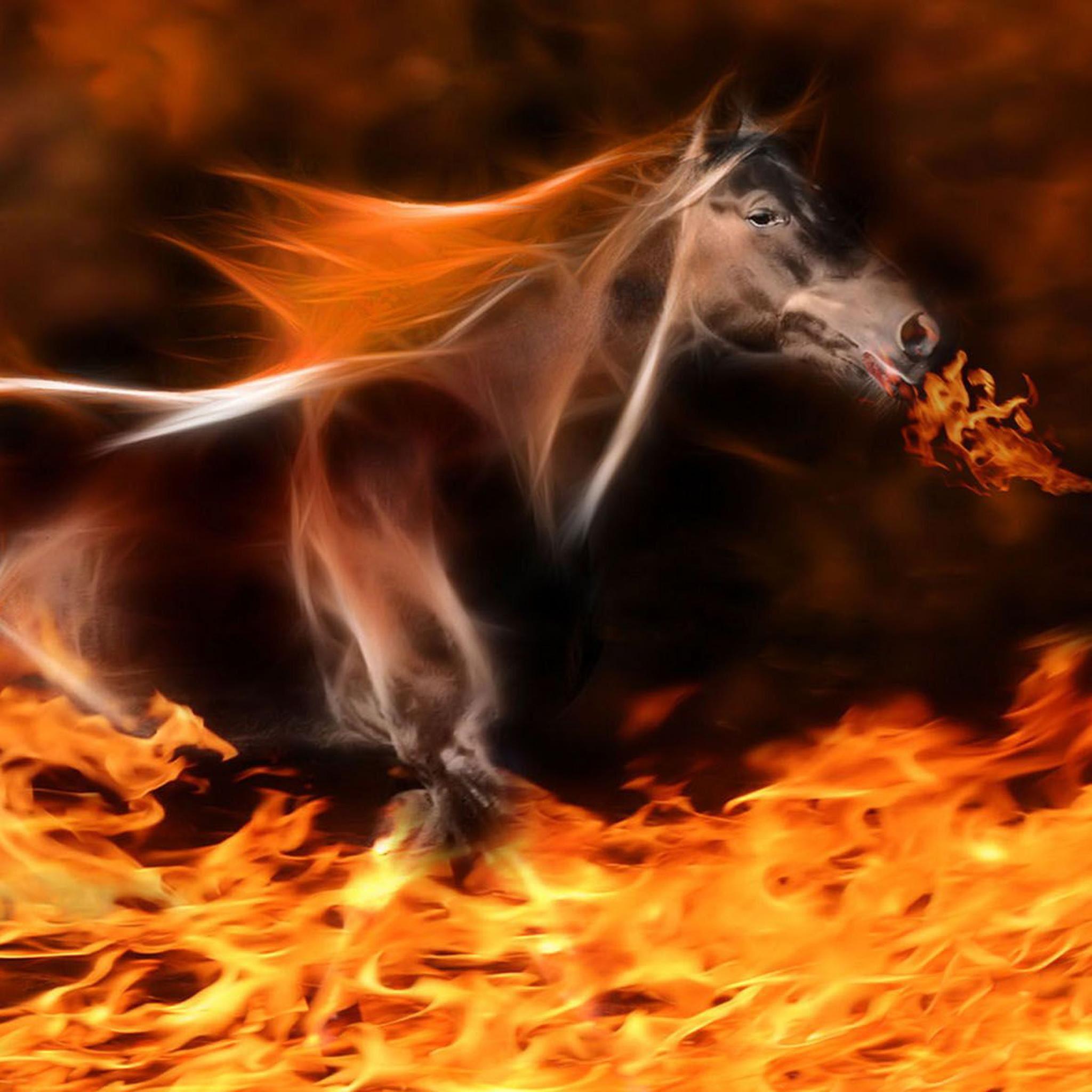 Flaming Horse Wallpapers Top Free Flaming Horse Backgrounds