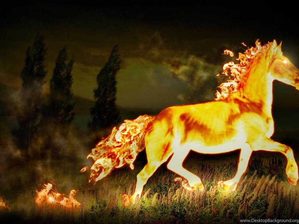 Flaming Horse Wallpapers - Top Free Flaming Horse Backgrounds ...