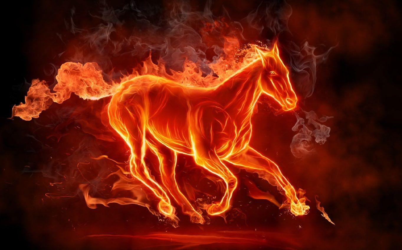 1363x846 Fire Horse. Horse wallpaper, Fire art, Fire horse
