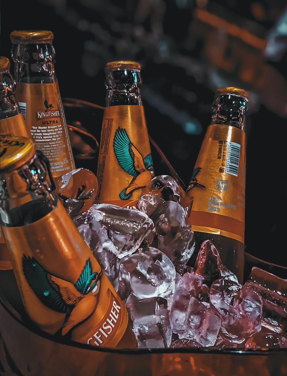 1000x1307 Kingfisher Beer Picture. Download Free Image