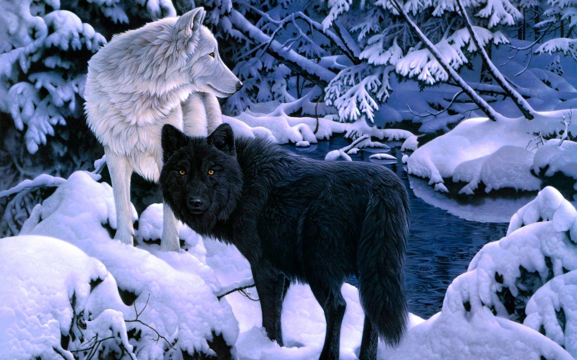 1920x1200 Cool Wolf Background
