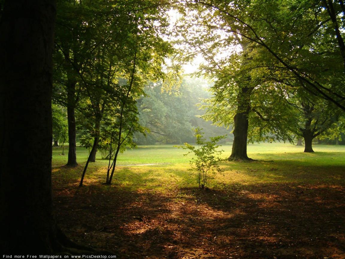 1152x864 Nature Desktop Wallpaper pics