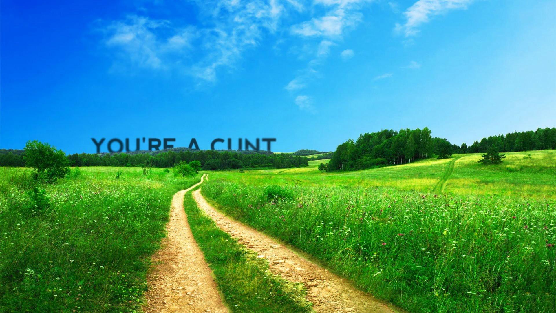 1920x1080 desktop wallpaper that will surely get you fired