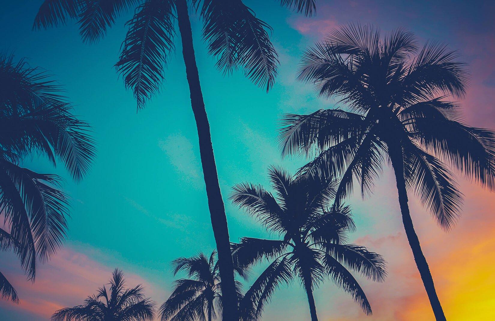 Vintage Hawaiian Wallpapers - Top Free Vintage Hawaiian Backgrounds