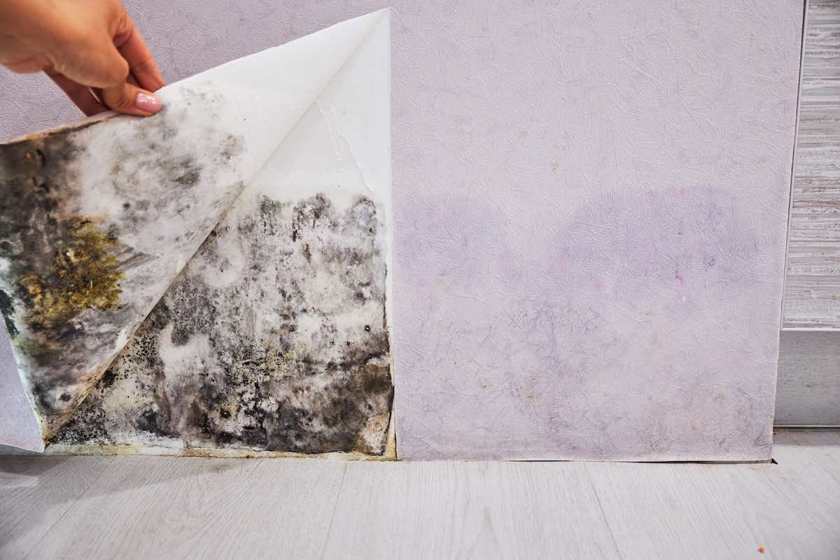 1200x800 How To Stop Condensation Ruining Your Property
