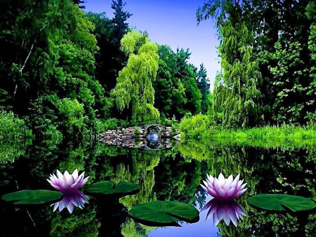 1024x768 Lake Pond Garden Japanese Bridge Water Scenery Wallpaper Lake HD