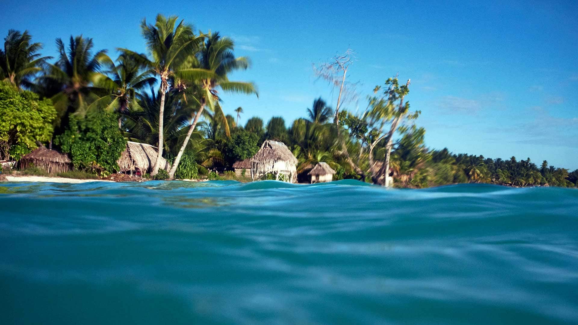1920x1080 Anote's Ark