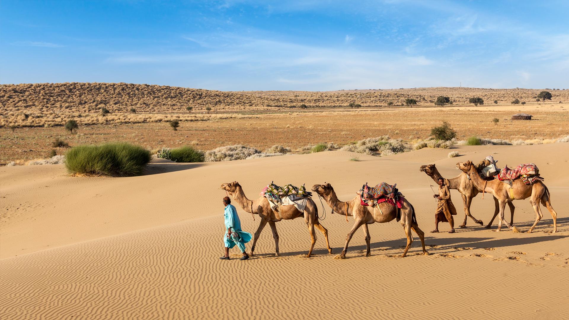 rajasthani-wallpapers-top-free-rajasthani-backgrounds-wallpaperaccess