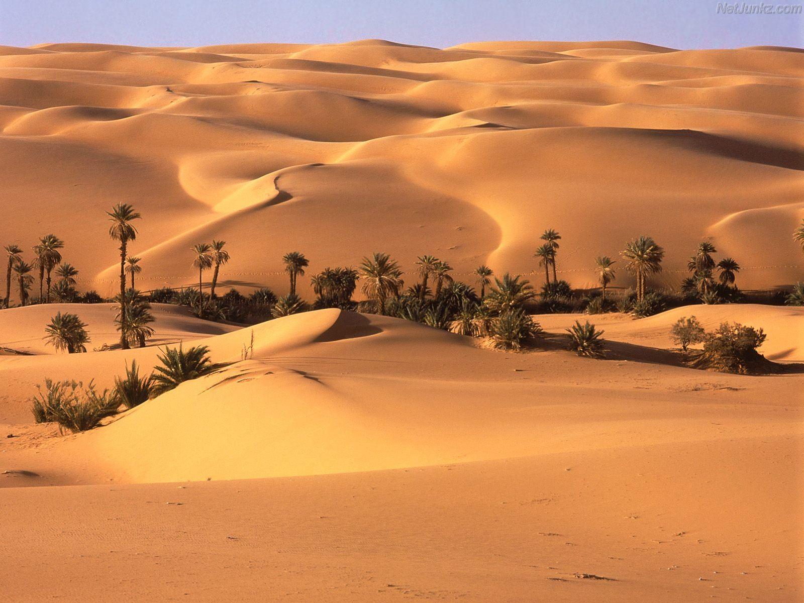 1600x1200 Rajasthan Wallpaper