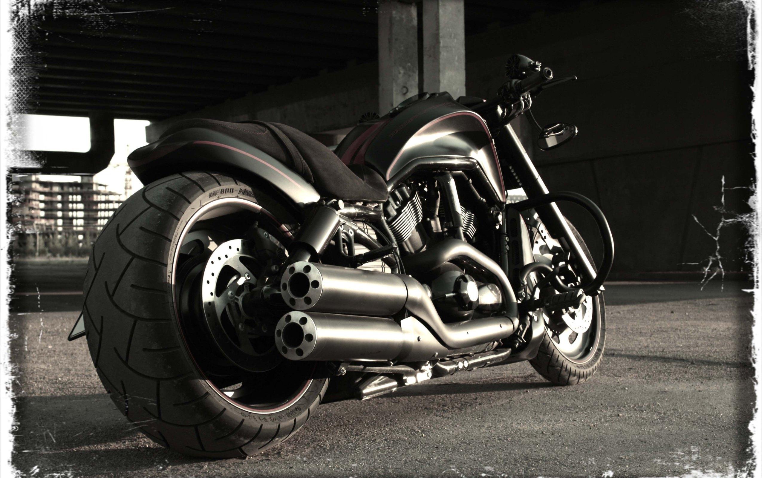 2550x1600 Harley Davidson Night Rod Wallpaper Desktop For Free