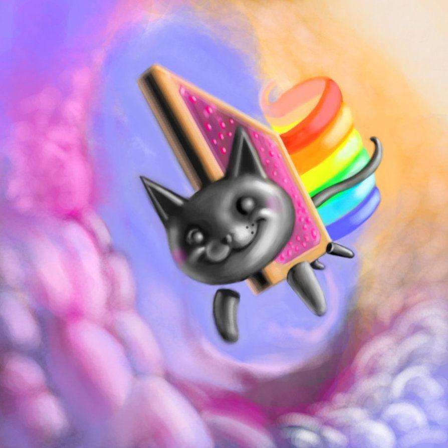 894x894 Poptart Cat Wallpaper