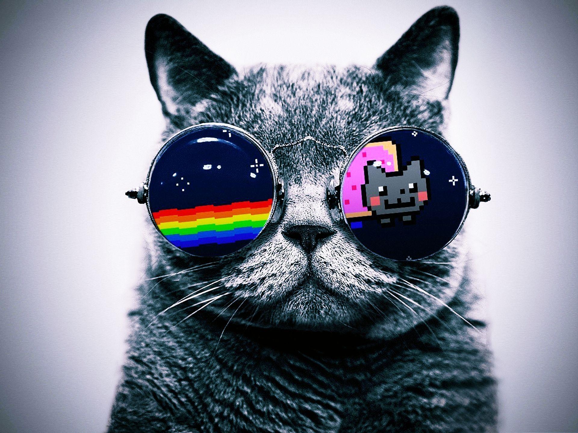 1920x1440 Nayan cat. Nyan cat, Cat background, Cat wallpaper