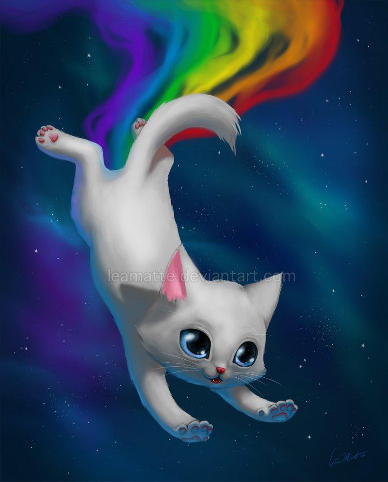 800x994 Nyan Cat Desktop Wallpaper