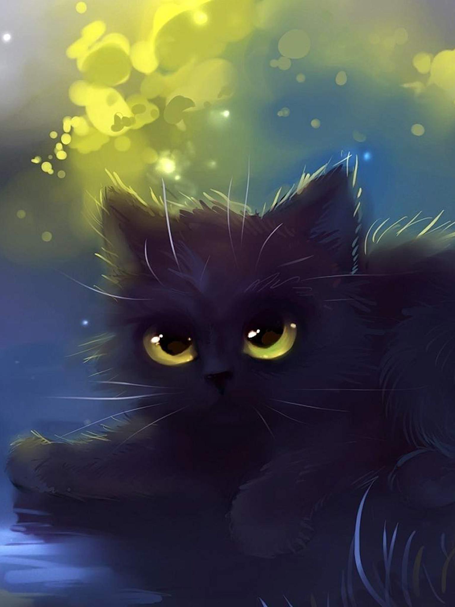 1536x2048 Cat Wallpaper background picture