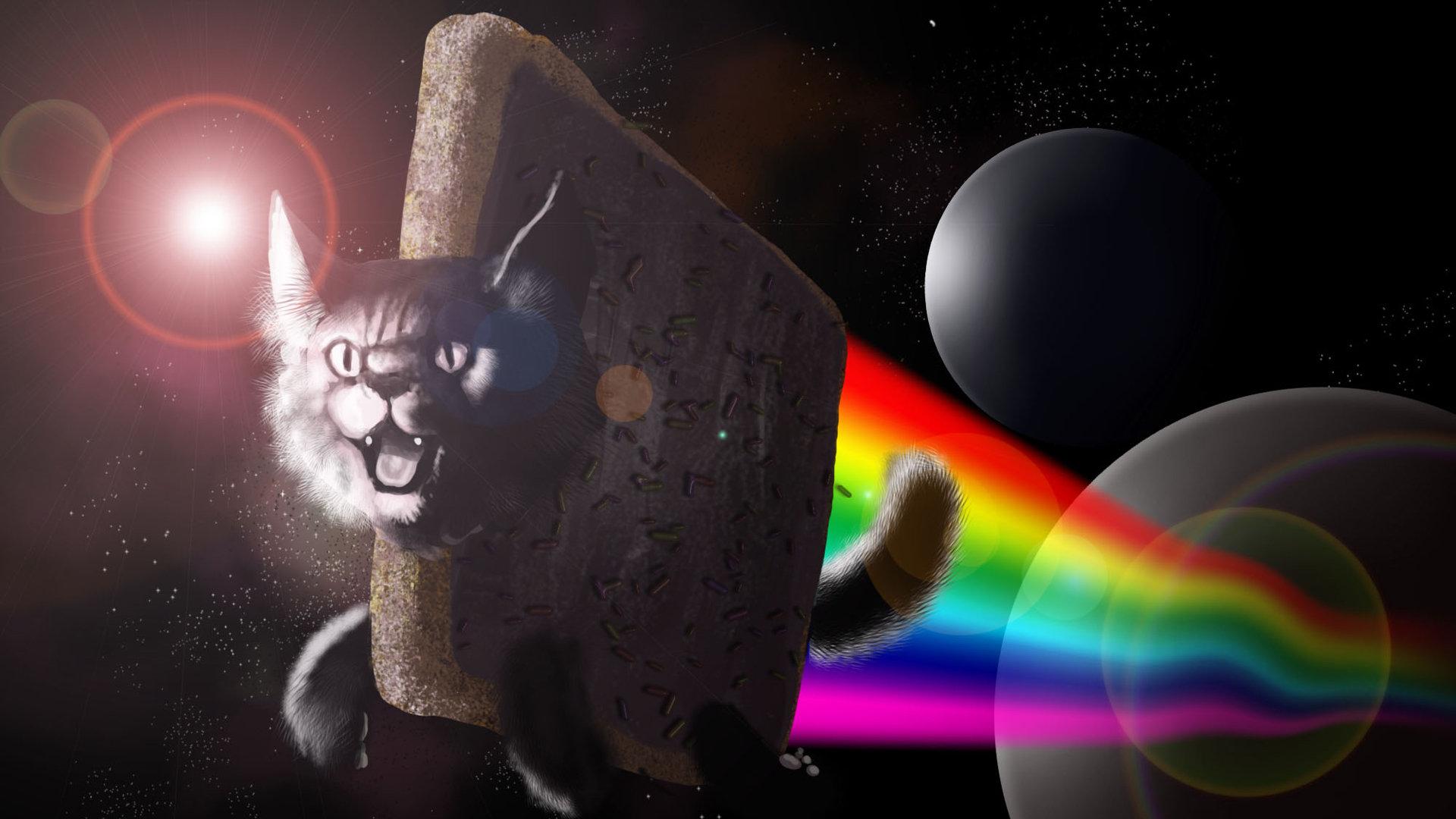 1920x1080 Nyan cat wallpaper