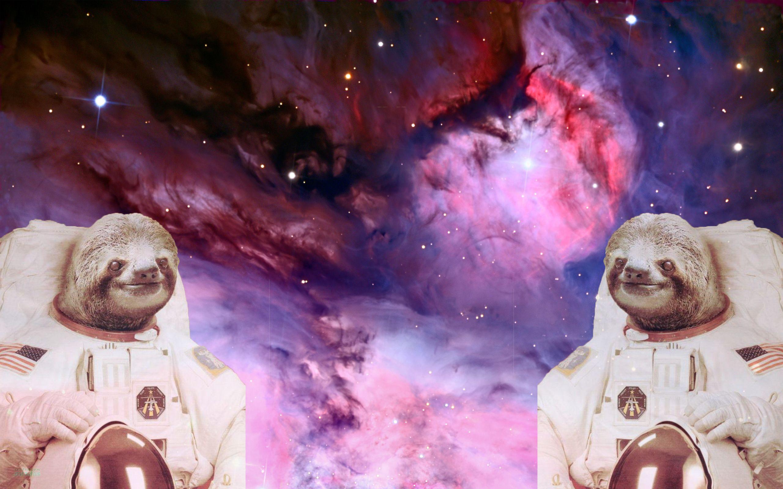2560x1600 Sloth Astronaut Wallpaper