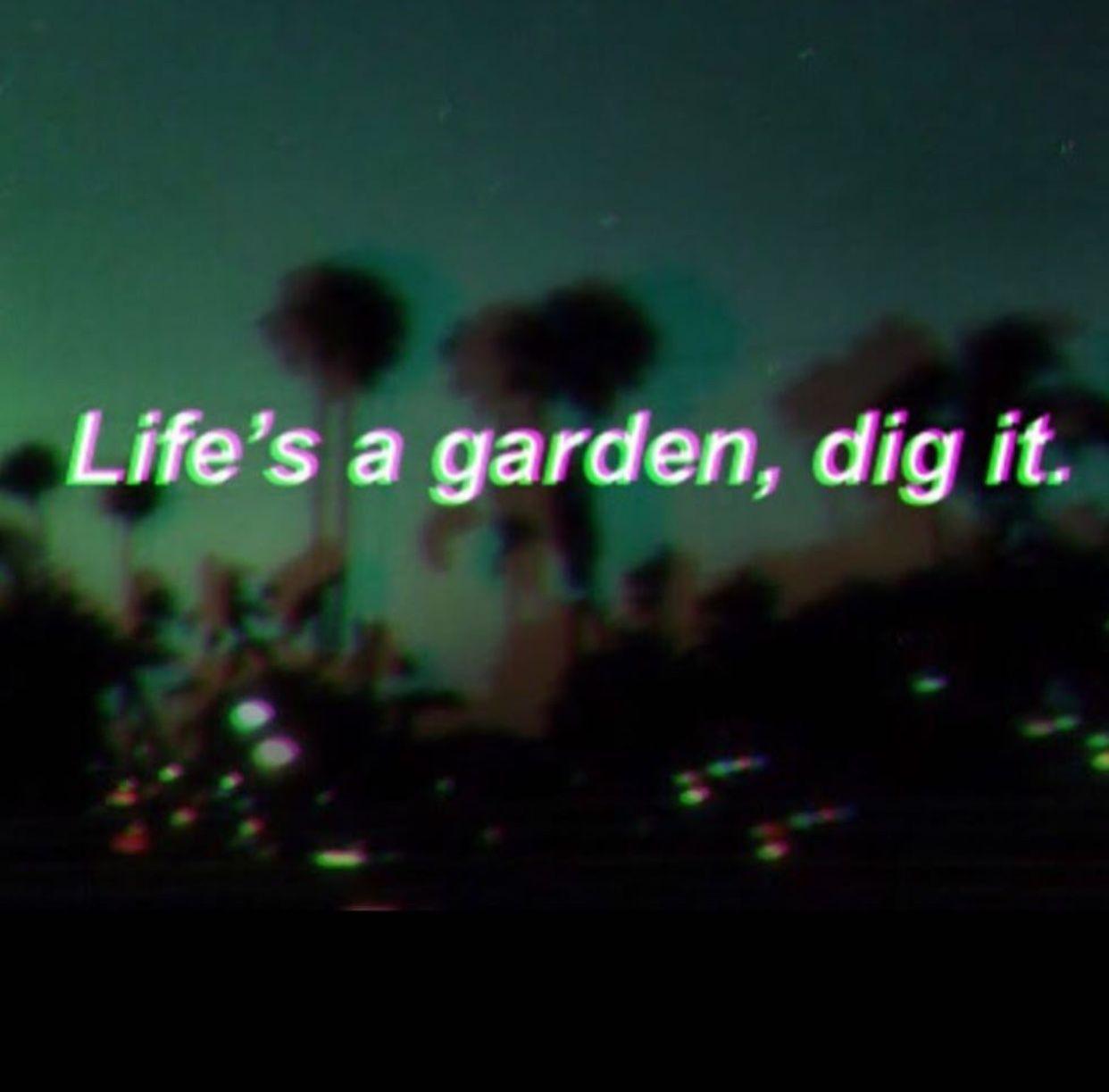 1242x1223 Dark Green Grunge Aesthetic Wallpaper