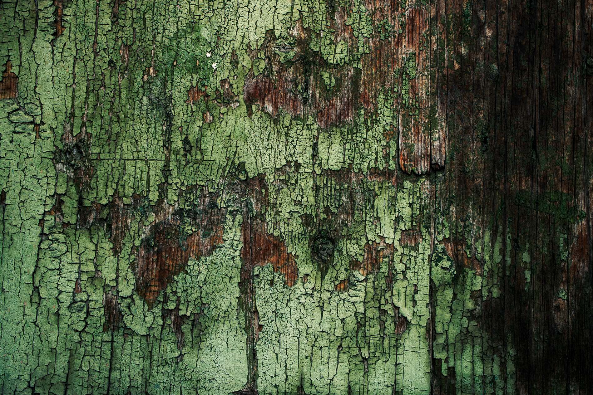 1899x1266 Dark Green Grunge Texture