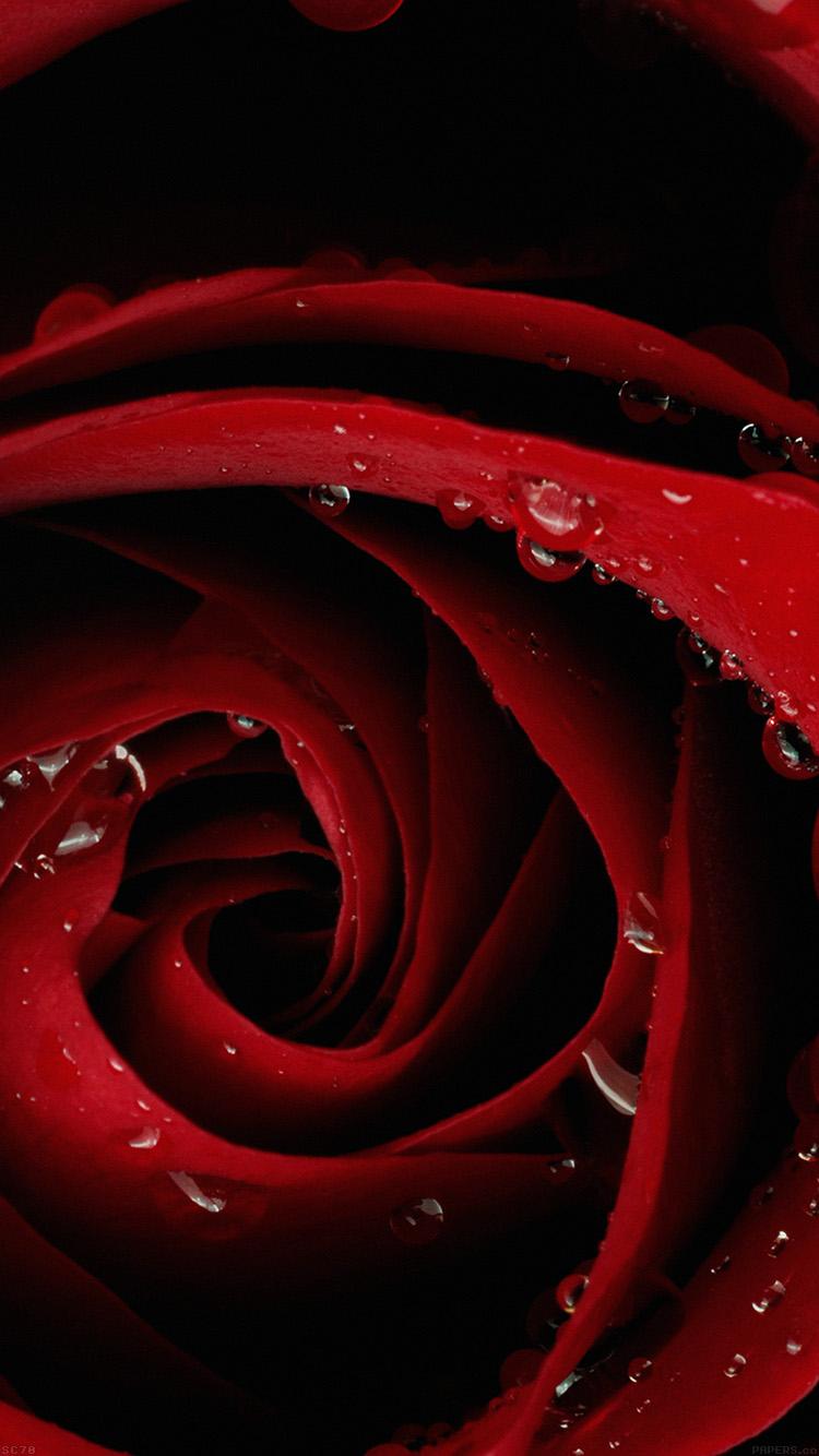 Beautiful Red Wallpapers Top Free Beautiful Red Backgrounds