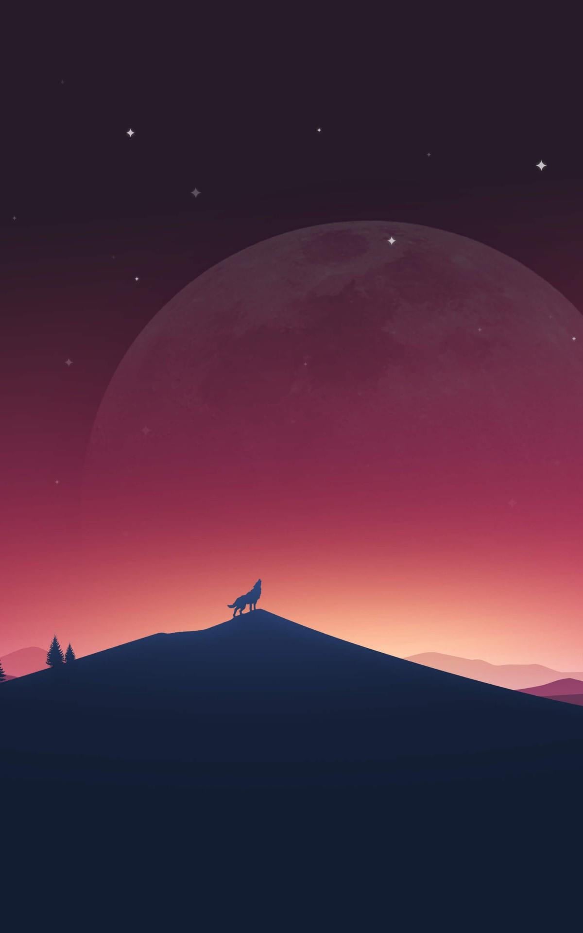 1200x1920 Wolf Wallpaper for Kindle Fire