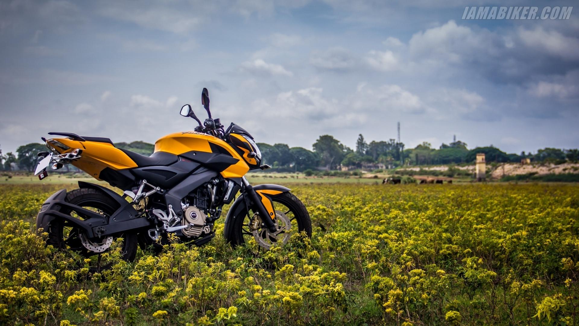 1920x1080 New Pulsar 200 Yellow Wallpaper