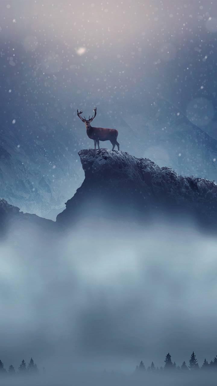 720x1280 Deer In Snow Wallpaper