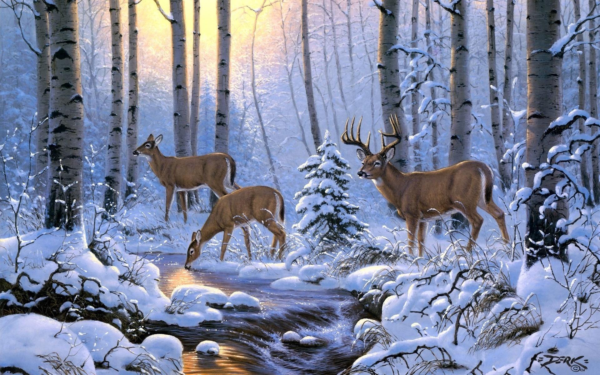 1920x1200 Wallpaper. Animals. photo. picture. Deer, snow, the river, light, forest