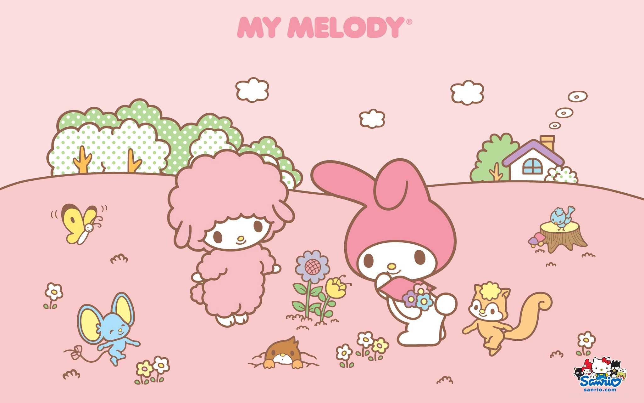2048x1280 My Melody Sanrio Wallpaper Free HD Wallpaper