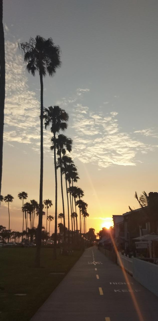 630x1280 Chill wallpaper wallpaper