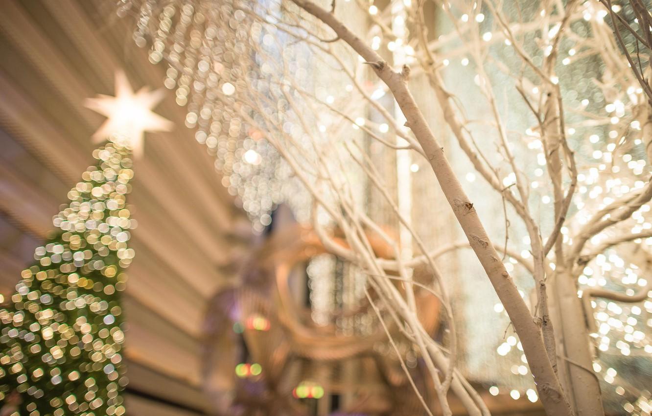 1332x850 Wallpaper the city, lights, tree, holiday, street, tree, Christmas, New year, USA, Christmas, San Francisco, bokeh, holiday, New year image for desktop, section новый год