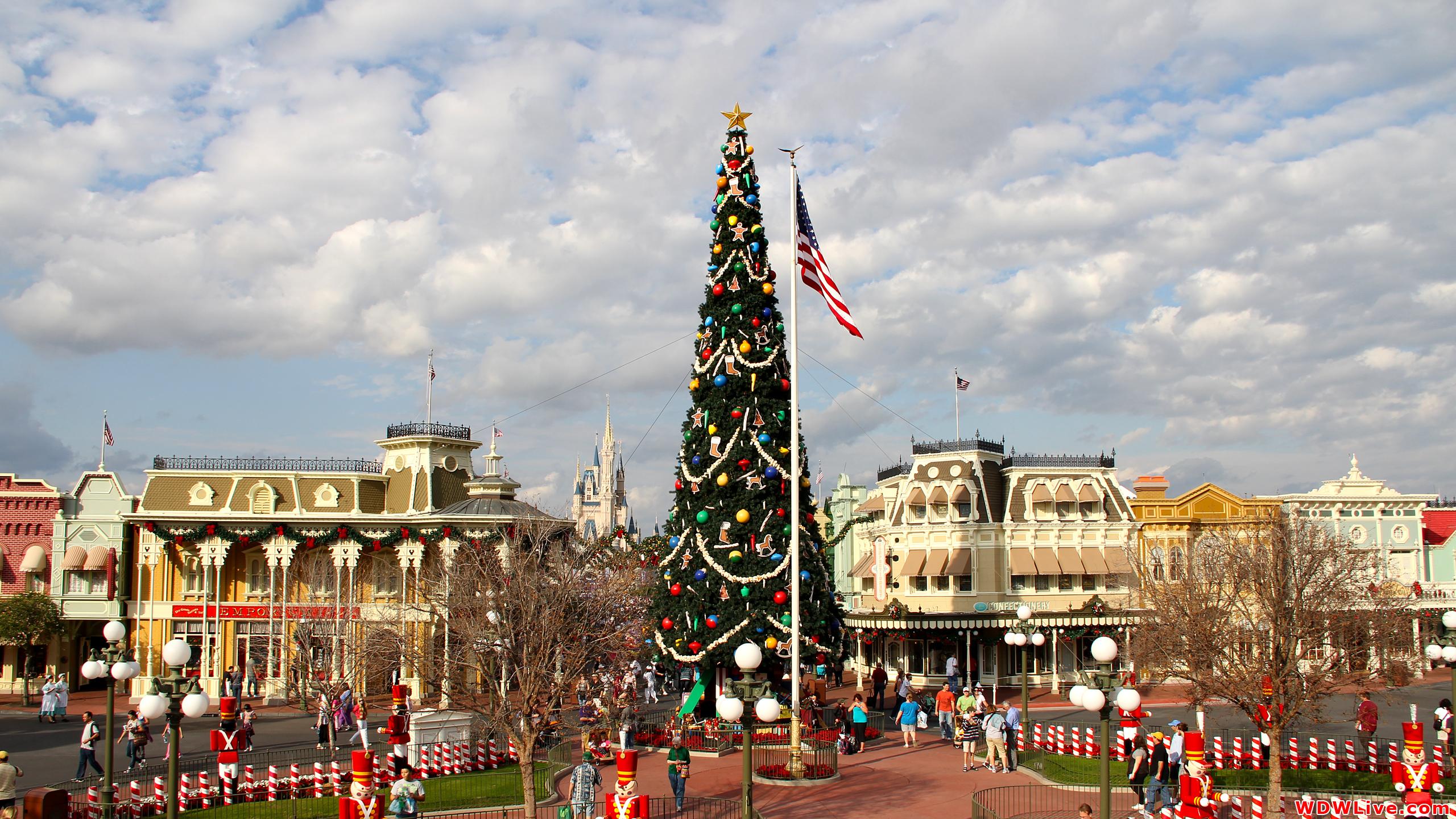 2560x1440 Main Street U.S.A.: The Magic Kingdom's giant Christmas tree!