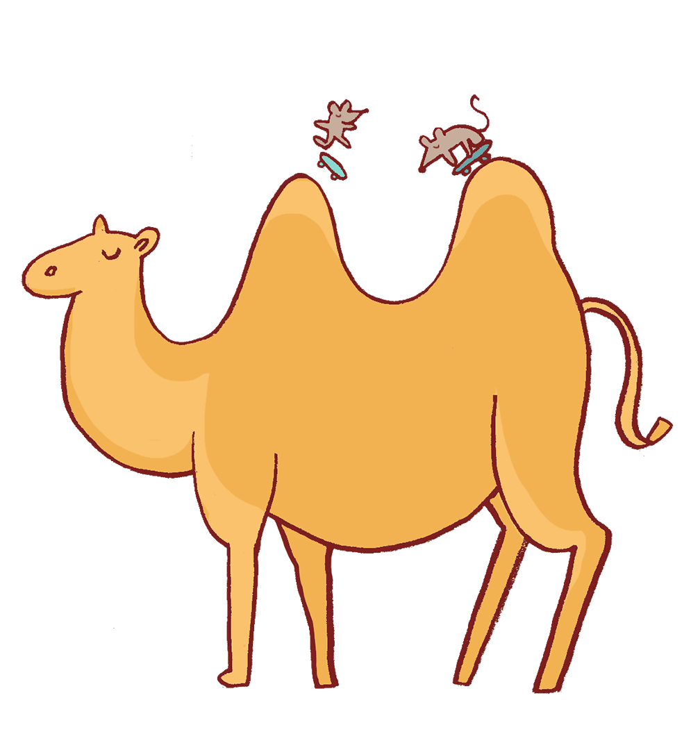 1008x1080 Walking Camel Animated Gif
