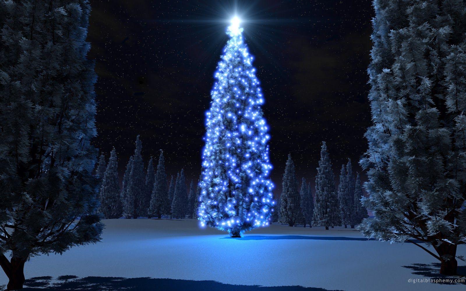 1600x1000 National Geographic Christmas Wallpaper