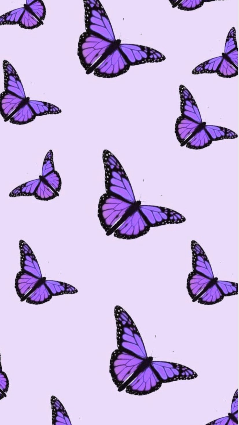 Purple Butterflies Fabric Wallpaper and Home Decor  Spoonflower