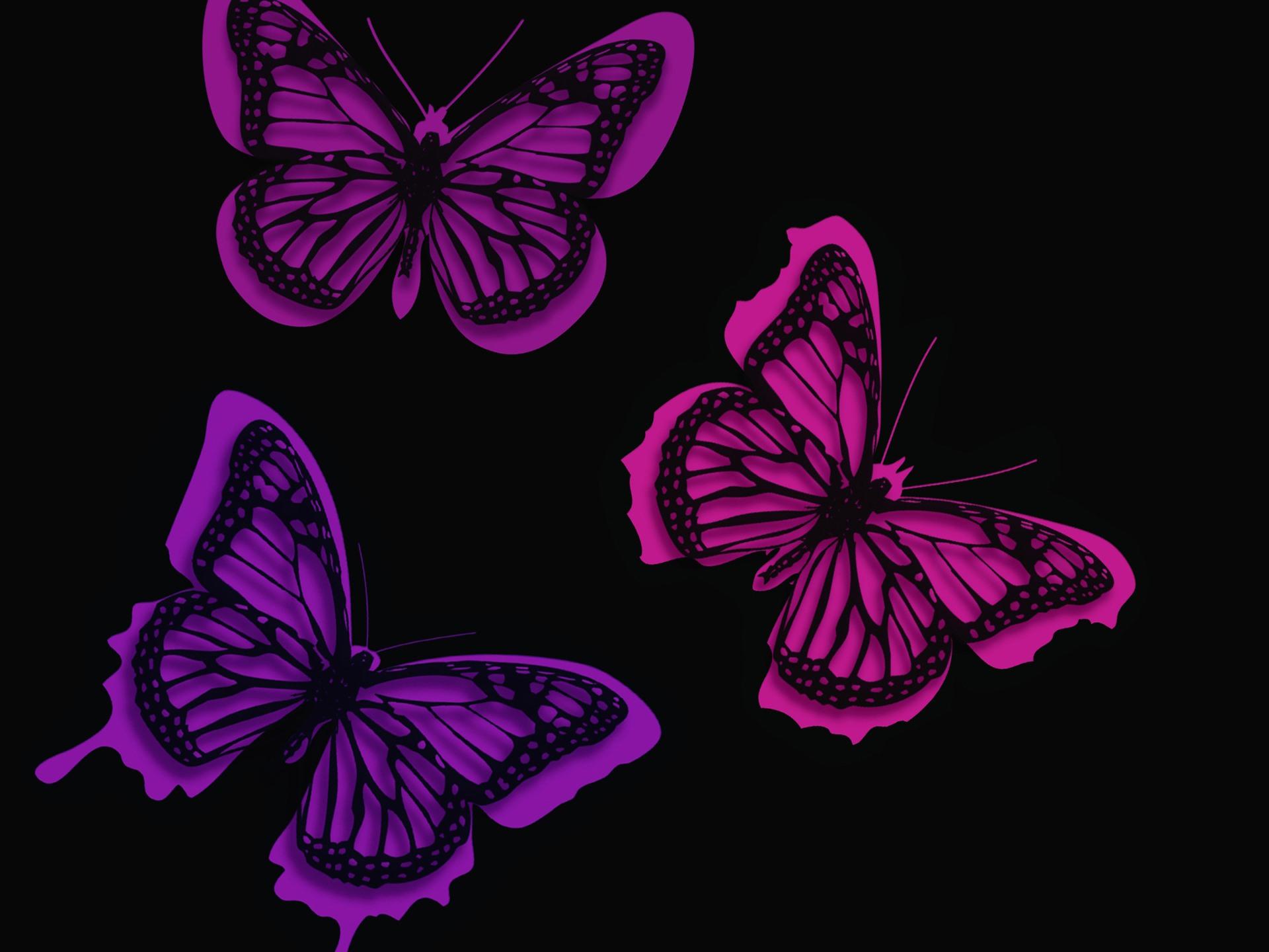 1920x1440 Wallpaper Purple butterflies, creative picture 1920x1440 HD Picture, Image